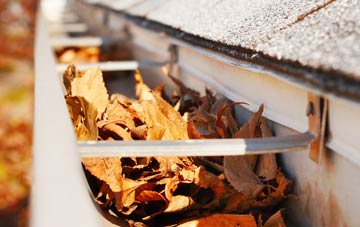 Givons Grove gutter cleaning companies